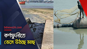 কর্ণফুলীতে পোড়া চিনির বর্জ্য: ভেসে উঠছে মাছ
