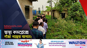 এক হাজার ২০০ নেশা জাতীয় গাছ থানায় হস্তান্তর