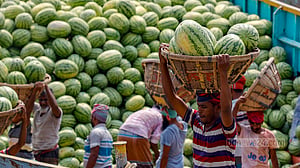 তরমুজে ঠাসা ওয়াইজঘাট