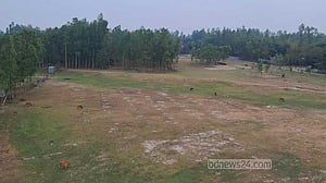 ভুটানের রাজার সফর ঘিরে কুড়িগ্রামে উচ্চাশা