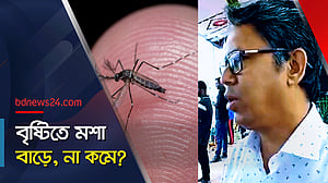 খাল যারই হোক মশা নিয়ন্ত্রণ করতে হবে: কবিরুল বাশার