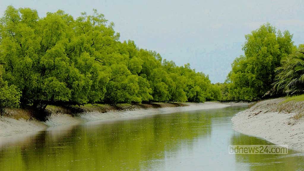 দুই মাস পর সুন্দরবনে কাঁকড়া আহরণ শুরু