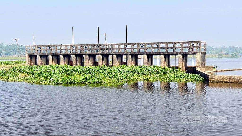 ফসল রক্ষার স্লুইস গেইট এখন ‘গলার কাঁটা’