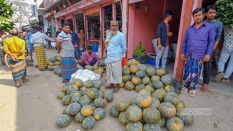 চরাঞ্চলে উৎপাদিত মিষ্টি কুমড়া বিক্রির জন্য এ সময়ে প্রতিদিন হাটও বসে চর মাধবদিয়ায়।