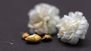 ১ ডলার খরচ করে উদ্ধার হবে ৫০ ডলারের স্বর্ণ