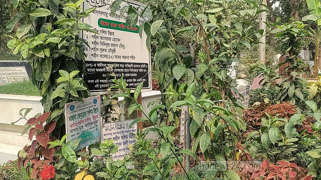 মা-বাবার পাশে শায়িত সাদি মহম্মদ
