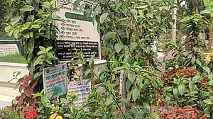মা-বাবার পাশে শায়িত সাদি মহম্মদ