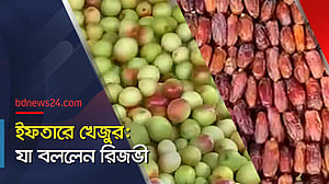 দ্রব্যমূল্য: সরকারের সমালোচনায় বিএনপি নেতা রিজভী