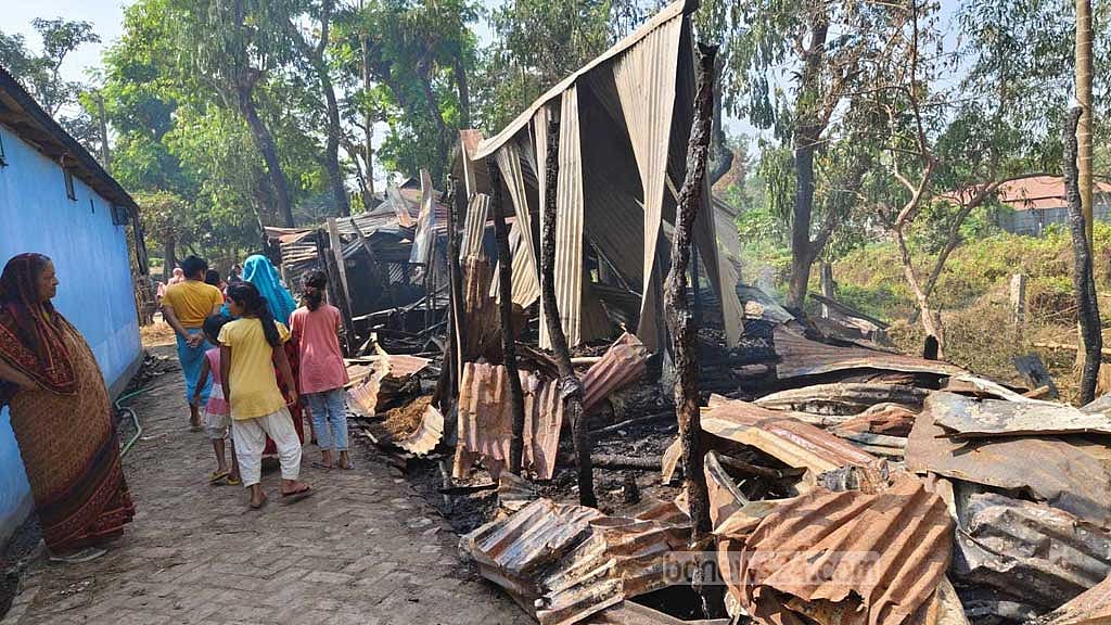 মশা তাড়াতে মশাল: গোয়ালে পুড়ে মরল ২ গরু, দগ্ধ ১৭
