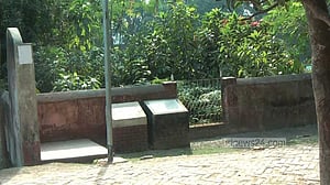 মুক্তিযুদ্ধে আতাইকুলা: চোখের সামনে স্বামী-সন্তানকে হত্যা, শোকগ্রস্ত নারীদের ধর্ষণ