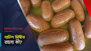 বালিশ মিষ্টির স্বাদের রহস্য, বললেন একজন কারিগর