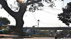 চট্টগ্রামে ‘গাছ কাটা উন্নয়ন’ কেন বারবার?
