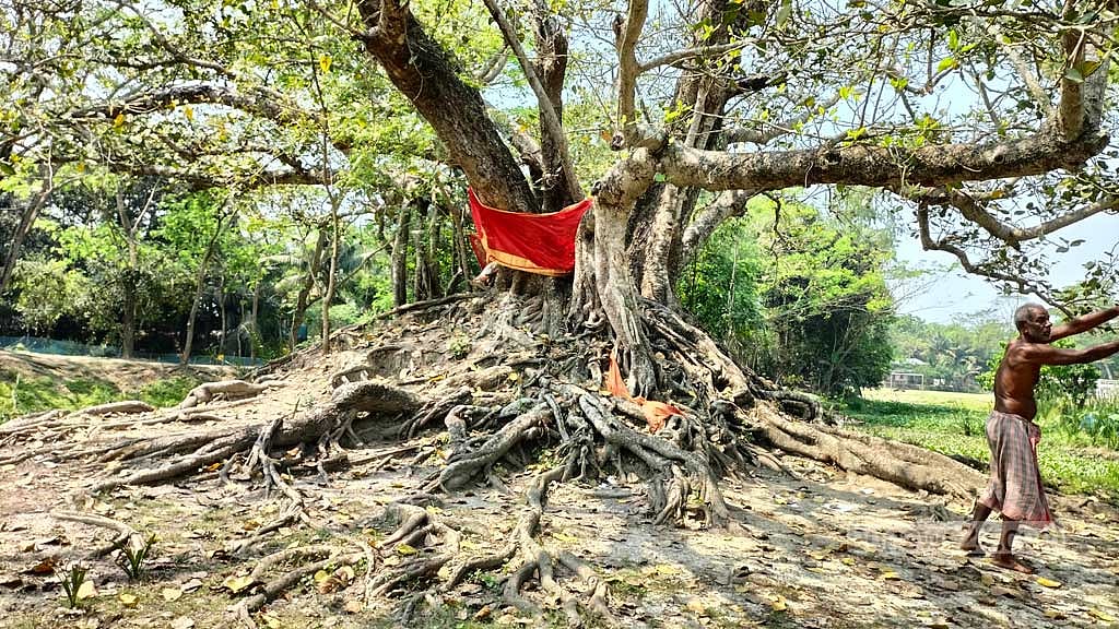 দোলভিটায় এবারও হবে না দোল, এক যুগের আক্ষেপ