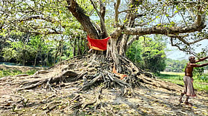 দোলভিটায় এবারও হবে না দোল, এক যুগের আক্ষেপ