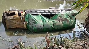 রাজবাড়ীতে ভ‍্যানকে চাপা দিয়ে ট্রাক খাদে, নিহত কৃষক