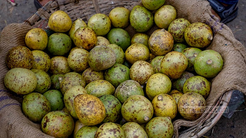 আকার অনুযায়ী দাম হাঁকা হচ্ছে বেলের। ছোট আকারের একটি বেলের দামই চাওয়া হচ্ছে ৬০ টাকা। বড়গুলো কিনতে চাইলে খরচ করতে হবে ১০০ থেকে ১২০ টাকা।