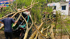 পিরোজপুরে ঝড়ে গাছ পড়ে নারীর মৃত্যু