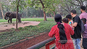 ভিড়, হাতির ঘটনায় সতর্কতা ছাপিয়ে চিড়িয়াখানায় ঈদ আনন্দ