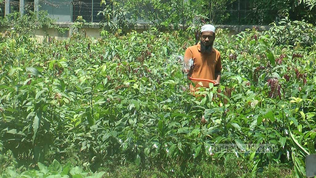 চড়ছে তাপ, চুয়াডাঙ্গায় সতর্ক থাকতে মাইকিং