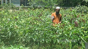 চড়ছে তাপ, চুয়াডাঙ্গায় সতর্ক থাকতে মাইকিং