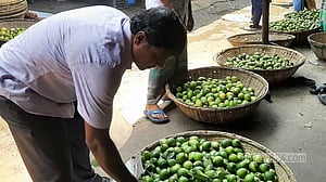 নাভিশ্বাসের গরমে স্বস্তি লেবুর বাজারে