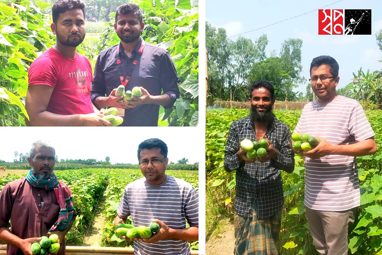 শসা চাষিদের পাশে স্বপ্ন