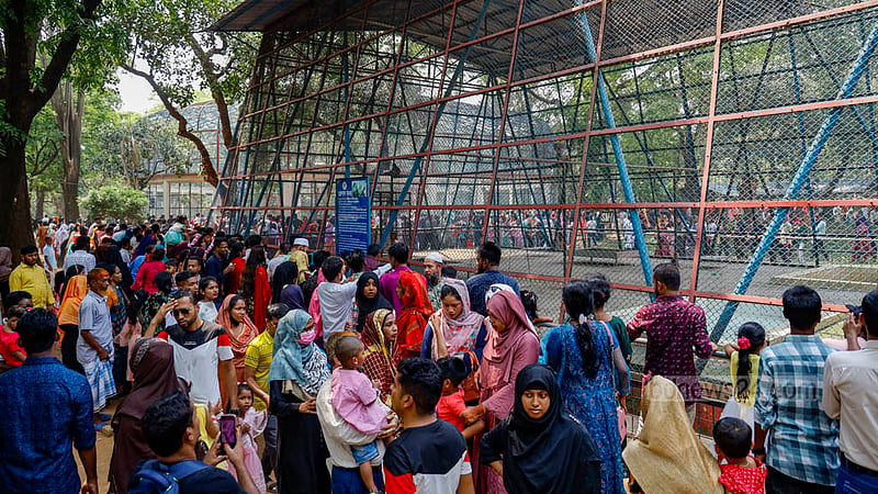 ঈদের পরদিন শুক্রবার চিড়িয়াখানায় বানরের খাঁচার সামনে দর্শনার্থীদের ভিড়।