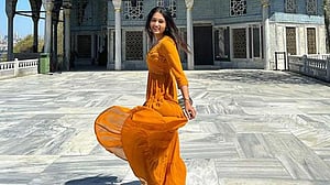 সুলতান সুলেমানের প্রাসাদে ফারিণ