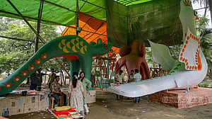 তিমির হননের প্রত্যাশার মঙ্গল শোভাযাত্রায় ’ভিন্ন’ ধরনের মোটিফ