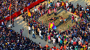১১৫তম বলী আসরে জয়ী ‘বাঘা শরীফ’