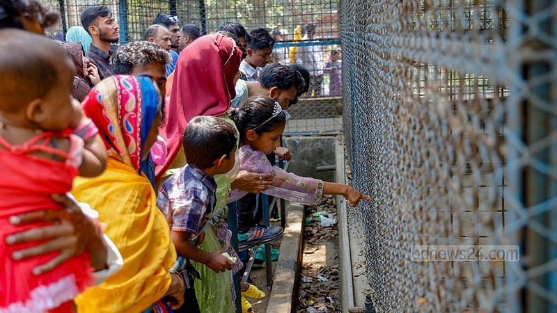 মিরপুরে চিড়িয়াখানায় ঘুরতে এসে অনেক শিশু পশুপাখির খাঁচার মধ্যে হাত দিয়ে ফেলে, যাতে দুর্ঘটনার আশঙ্কা থাকে।