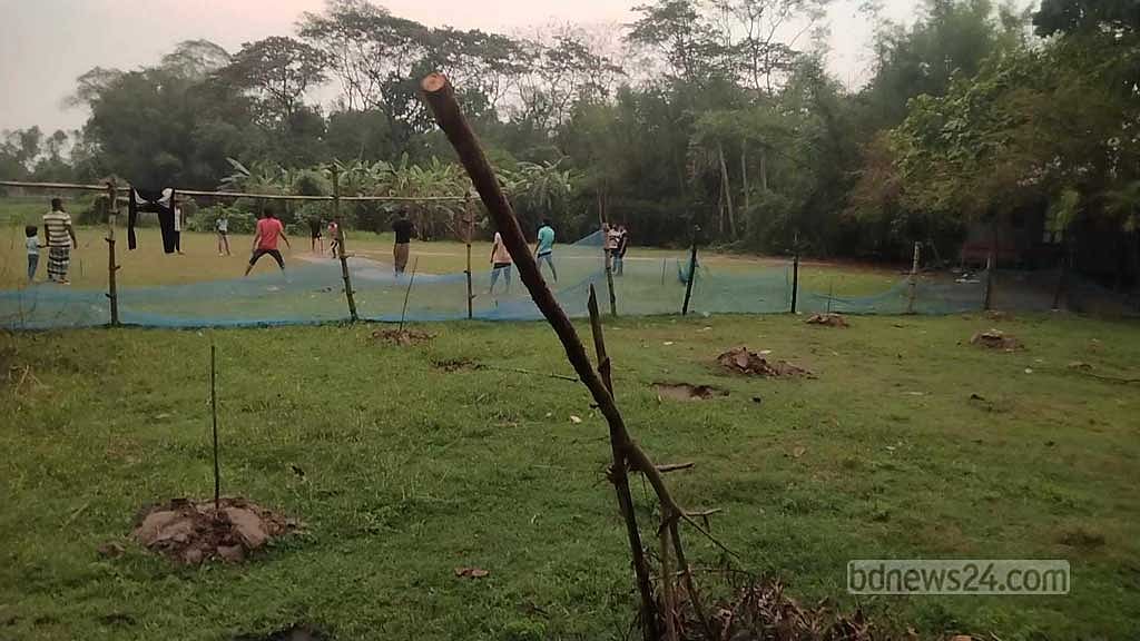মাদারীপুরে রাতের আঁধারে কাটা হল বাগানের ২০০ গাছ