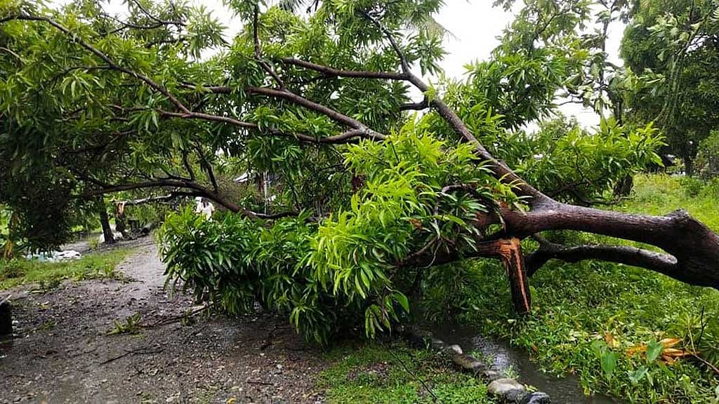 পশ্চিমবঙ্গে ঝড়ে ৫ জনের মৃত্যু, ব্যাপক ক্ষয়ক্ষতি