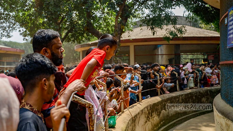 ঈদের ছুটিতে শুক্রবার মিরপুরে চিড়িয়াখানায় আসা দর্শনার্থীদের মধ্যে শিশুদের সংখ্যাই বেশি।