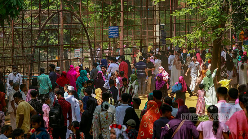 জাতীয় চিড়িয়াখানায় শুক্রবার বিভিন্ন প্রাণীর খাঁচার সামনে নানা বয়সী মানুষের উপচে পরা ভিড় দেখা যায়।