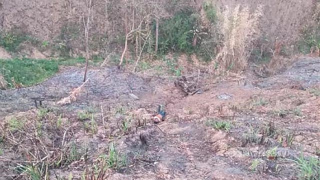 রাঙামাটিতে ট্রাক খাদে পড়ে নিহতের সংখ্যা বেড়ে ৯