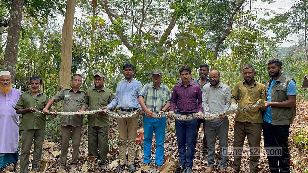 বনে ফেরানো হল ১৪ ফুট লম্বা অজগরটিকে
