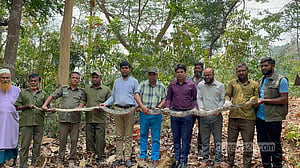 বনে ফেরানো হল ১৪ ফুট লম্বা অজগরটিকে