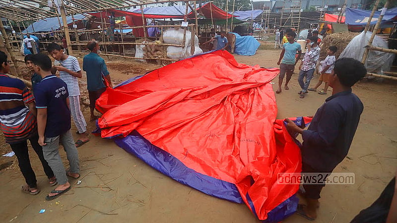 গরুকে বৃষ্টি থেকে রক্ষা করতে তেজগাঁও কোরবানির পশুর হাটে কোনো কোনো ব্যাপারী ত্রিপল টানিয়ে নিচ্ছেন