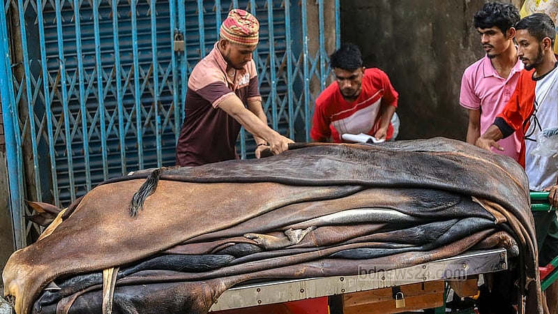 সরকার চামড়ার দাম নির্ধারণ করে দিলেও তা মানছে না আড়তদাররা। আকার অনুযায়ী একেকটি চামড়া কিনছেন ৩০০ টাকা থেকে ১২০০ টাকায়