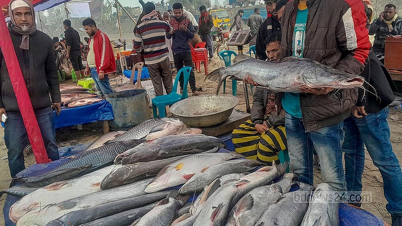 বগুড়ার গাবতলী উপজেলার মহিষবান ইউনিয়নে বুধবার ঐতিহ্যবাহী পোড়াদহ মেলার একটি দোকানে নানা জাতের মাছ