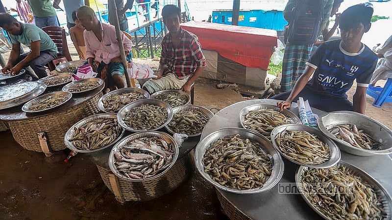 নারায়ণগঞ্জের সোনারগাঁওয়ের বৈদ্যেরবাজার নদীর মাছের জন্য বেশ পরিচিতি পেয়েছে