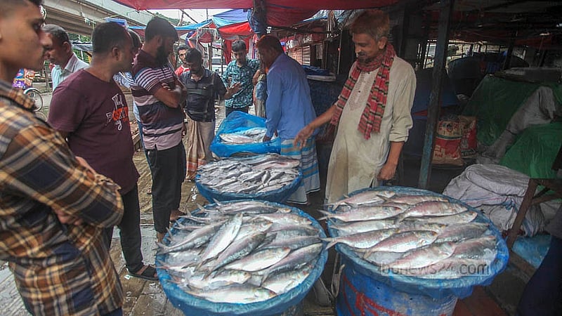 ইলিশ কিনতে রাজধানীর কারওয়ান বাজার রেলগেইটের সামনে ফুটপাতে বসা দোকানে ভিড় করছেন ক্রেতারা। এ বছর ভরা মৌসুমে ইলিশের চড়া দাম নিয়ে ক্রেতাদের মধ্যে রয়েছে অসন্তোষ