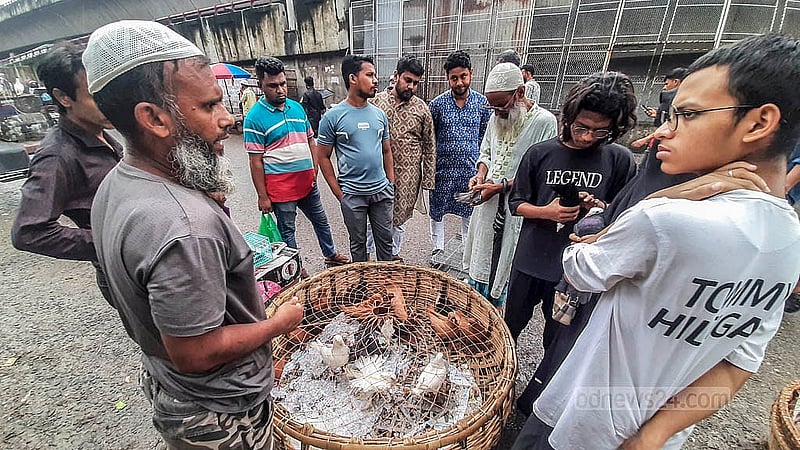 রাজধানীর কাপ্তানবাজারে হাটে কবুতর দেখছেন ক্রেতারা। প্রতি শুক্রবার সকাল থেকে সন্ধ্যা পর্যন্ত বসে হাট