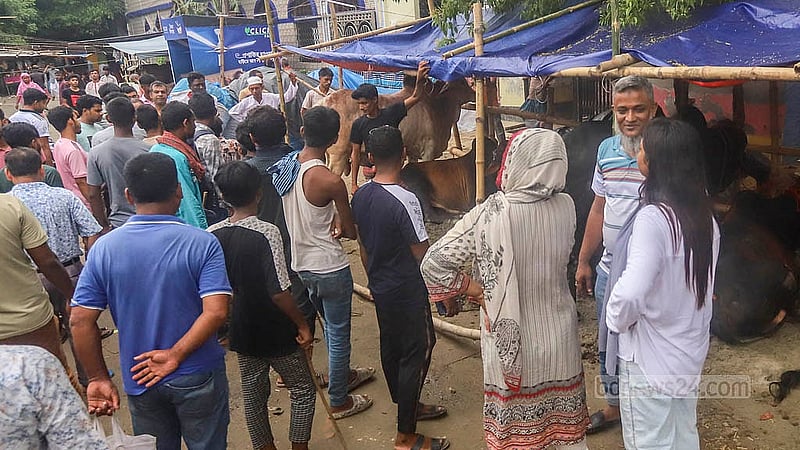 রাজধানীর তেজগাঁও কোরবানির পশুর হাটে পরিবার নিয়ে গরু কিনতে এসেছেন একজন