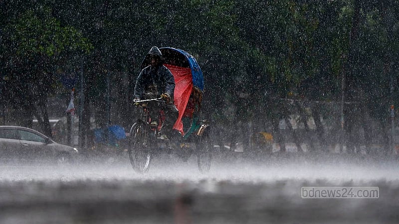 ঢাকা বিশ্ববিদ্যালয় এলাকায় বৃহস্পতিবার দুপুরে বৃষ্টির মধ্যে যাত্রী নিয়ে গন্তব্যের পথে রিকশা চালকরা
