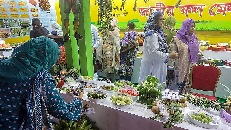 রাজধানীর কৃষিবিদ ইনস্টিটিউশনে জাতীয় ফল মেলার বিভিন্ন স্টল ঘুরে দেখছেন দর্শনার্থীরা