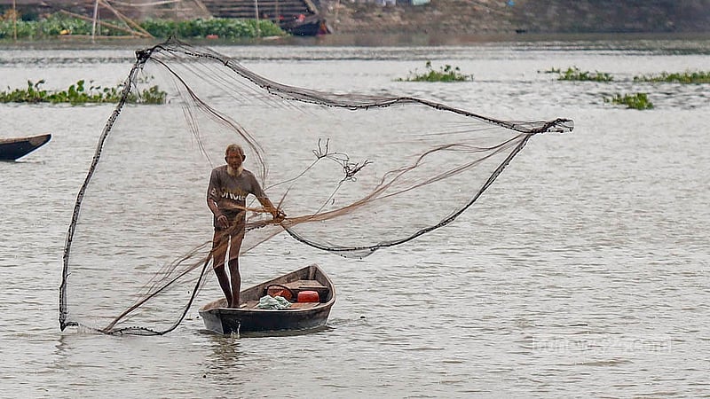 বুড়িগঙ্গা নদীতে যে মাছ মিলছে, সেটি জেলেদের তৎপরতায় স্পষ্ট। রাজধানীর কামরাঙ্গীরচর এলাকায় এ নদীতে মাছ ধরছেন এক ব্যক্তি
