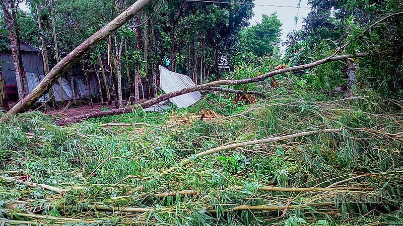 সিরাজগঞ্জ সদর উপজেলার চারটি গ্রামে দুই মিনিটের ঘূর্ণিঝড়ে উপড়ে গেছে গাছপালা, বিচ্ছিন্ন হয়েছে বিদ্যুৎ সংযোগ