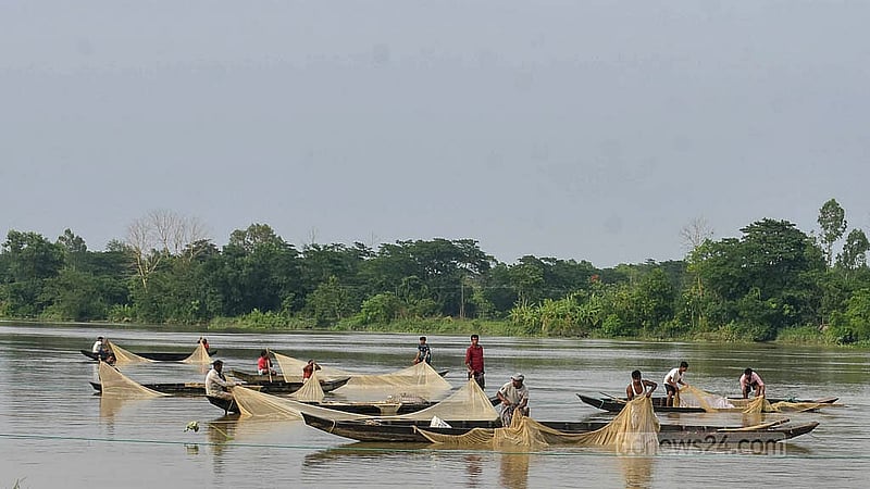 মা মাছেরা নমুনা ডিম ছাড়ার পর তা সংগ্রহের জন্য চট্টগ্রামে হালদা নদীর বিভিন্ন পয়েন্টে জেলেদের প্রস্তুতি